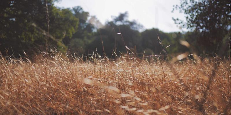 杭州中力54系列:如何以创新堆高车与电动叉车解决方案重塑仓储设备新标准