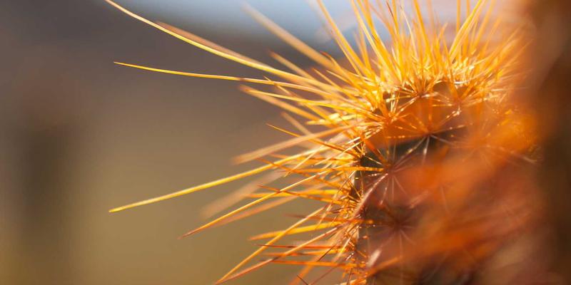 杭州中力AGV与手动搬运设备协同：打造高效混合型智能仓储系统