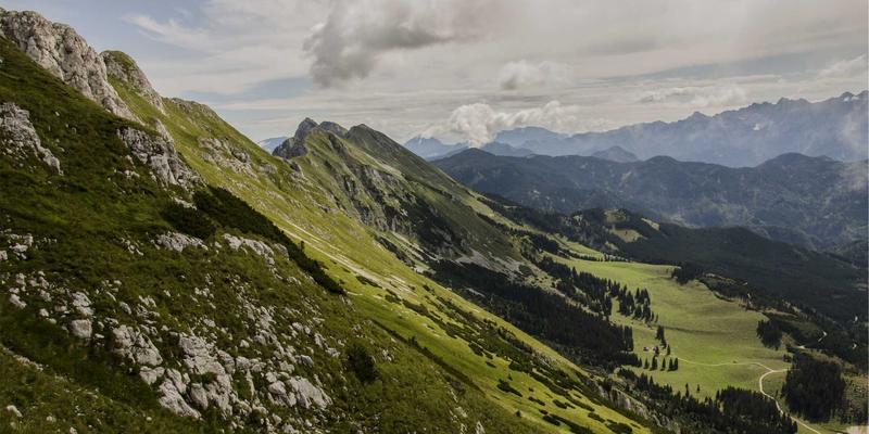 杭州中力:以创新仓储搬运设备驱动现代物流智能化变革
