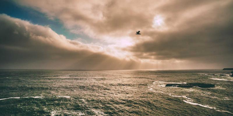 杭州中力叉车：为汽车制造业生产线打造高效智能的物料搬运解决方案