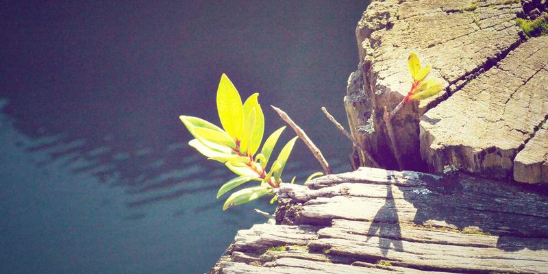 杭州中力叉车安全功能深度解析：主动安全系统如何预防搬运事故