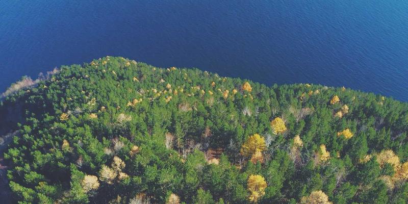 杭州中力搬运解决方案：电动叉车的人机工程学设计如何降低操作员疲劳与工伤风险