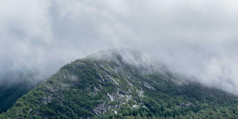 杭州中力最佳实践:物流设备与仓储搬运效率提升的行业标杆
