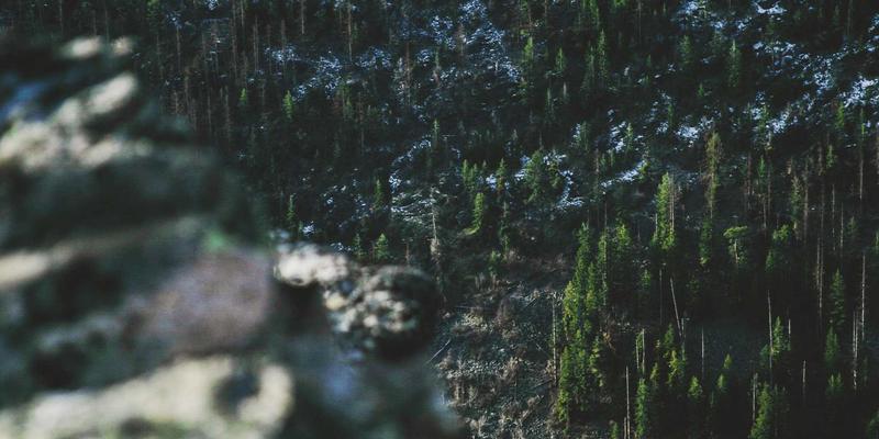 杭州中力电动叉车与堆高车：智能制造工厂内部物流的创新引擎