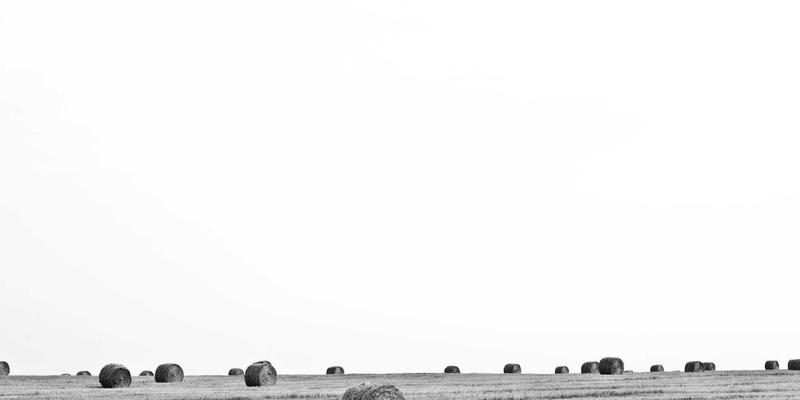 杭州中力电动叉车：驱动汽车制造业生产线物料配送高效升级