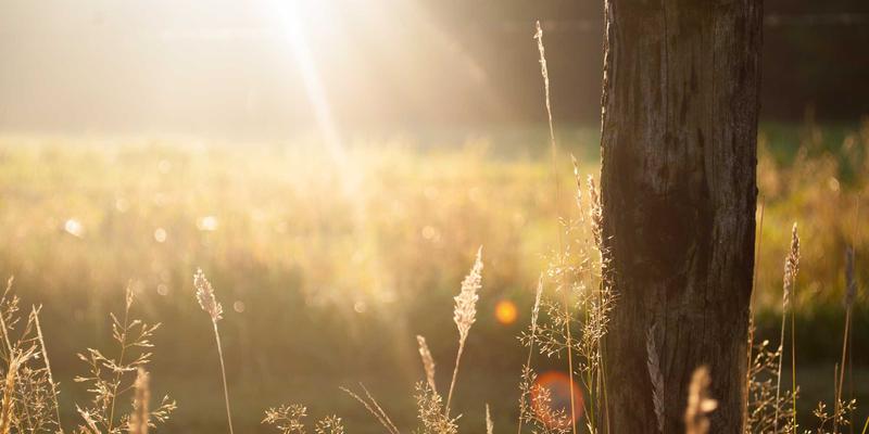 杭州中力电动搬运车深度评测：仓储设备与物流设备的高效之选