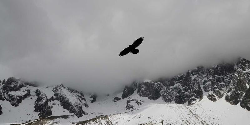杭州中力窄巷道叉车：高密度仓储空间极致利用的智能解决方案
