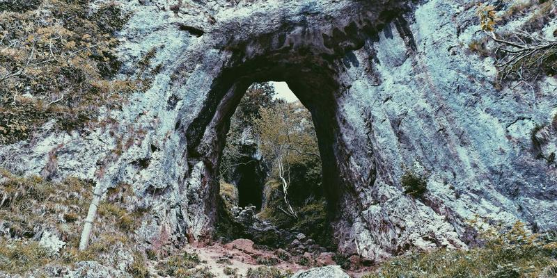 杭州中力锂电叉车全生命周期成本分析：为何总持有成本更低？