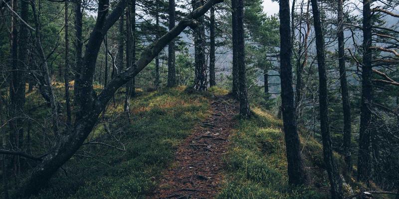 精密制造79:自动化产线如何重塑021精密产业新生态